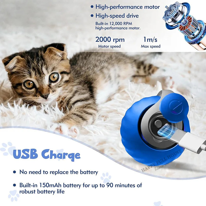 Interactive Cat Toy Balls, Automatic Toys for Cat with Replacement Tail, 2 Adjustable Modes, USB-Rechargeable Indoor Kitten Toy
