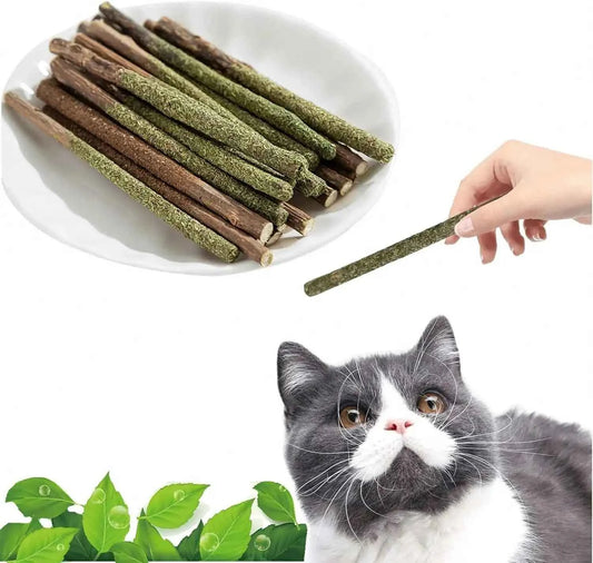 Maiguangta Natural Silvervine Catnip Chew Sticks (12 PC) - Edible Dental Chews For Cats &Amp; Kittens, Teething Relief Teeth Cleaning Toys