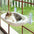 Cat hammock window cat nest windowsill bedside sun sucker pet balcony glass habitat cat nest - Play Paws Toys