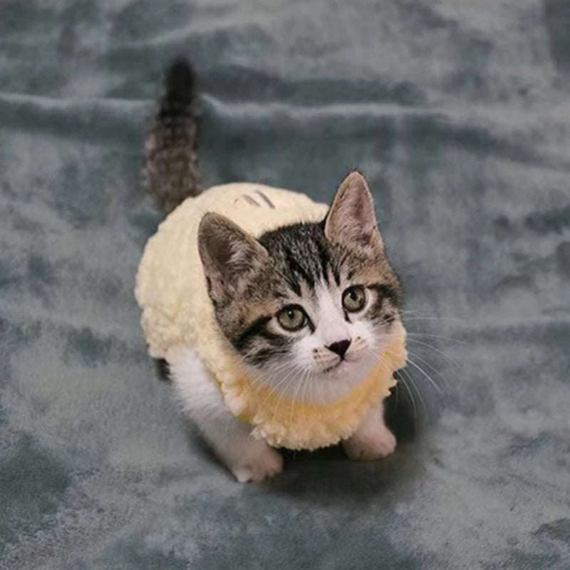 Newborn Cat Kitten Velvet Clothing Winter Warm Little Pet Sweater for Small Animals Bunny Pullovers Clothes Teacup Poodle XXXS - Play Paws Toys