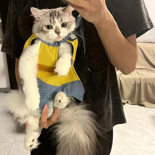 Outdoor Cat Carrier Bags for Cats Walking Riding Pet Tracvel Products Sphynx Kedi Katten mascotas Carrying Backpack mochila gato - Play Paws Toys