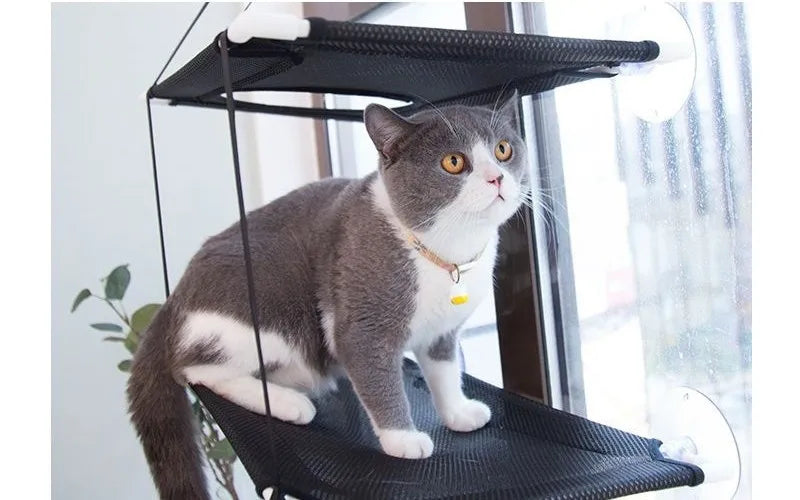 Cat Hammock Window Bed Kitten Sunny Seat Hanging Mount Beds Cat Sofa double-decker tunnels Suction Cup Wall Pet Hanging Winter - Play Paws Toys
