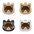 Cute Personalized Cat Tags Stainless Steel Colored Pattern Pets Cat Name Tags Pendant Engraved Keyring Kitten Accessories