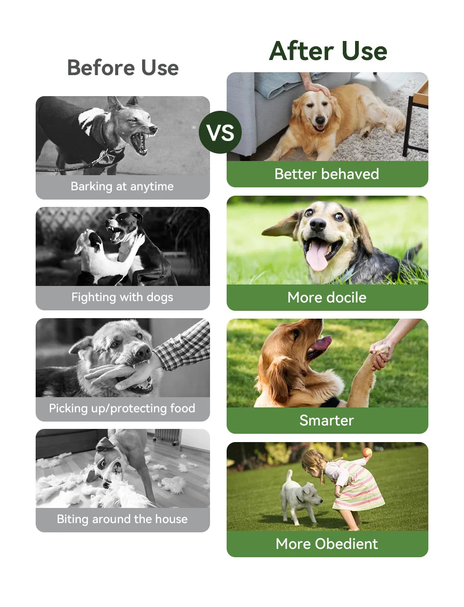 ROJECO Electric Dog Training Collar Remote Control Rechargeable Training Collar For Pet Dog Puppy Bark Control Stop Shock Collar