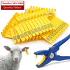 Livestock Animal Goat Ear Tag Pliers Dog Rabbits Sheep Ear Tags Nylon Material Sheep Laser Ear Tag No.001-100