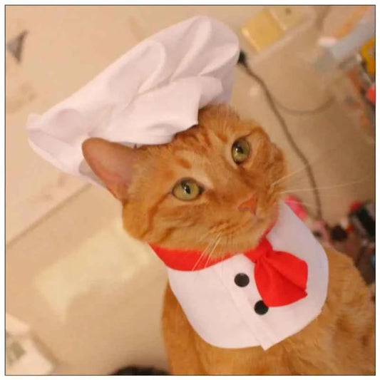 Funny Cat Chef Costume,Party Cosplay Outfit with Hat for Kittens, Cute Cooking Baker Pet Dress Up Party Apparel Free Shipping