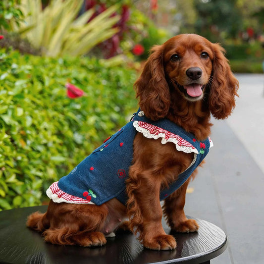 Dog Dress with leash Set Dog Clothes Chic Denim Costume  Cat Dog supplies  Soft Mesh Vest Puppy one piece