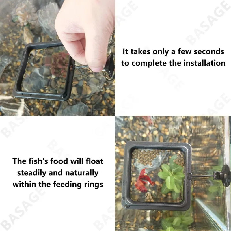 Aquarium Feeding Ring Fish Tank Station Floating Food Tray Feeder Square Circle Accessory Fish Foods Feeder Suction Cup Black
