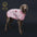 Buffalo Check Love-Heart Intarsia D-Ring Hole Dog Sweater