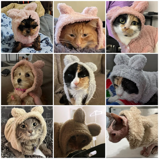 Autumn Winter Cat Clothes Soft Warm Cute Kitten Sweater Pet Fleece Costume For Small Medium Dogs Cats Kitty Sphynx Hoodies Coat - Play Paws Toys