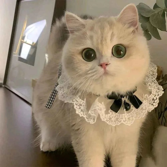 Cute Dog Collar Lace Bowknot Pearl Cat Necklace Sweet Neck Decoration Elegant Gentle Puppy Necktie Kitten Bibs Pet Supplies