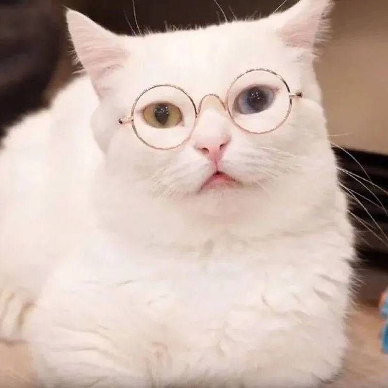 Puppy Dog Sunglasses Anti-skid Round Metal Cat Classic Retro Sunglasses Hippie Cute and Funny Pet Glasses Cosplay Party Costume