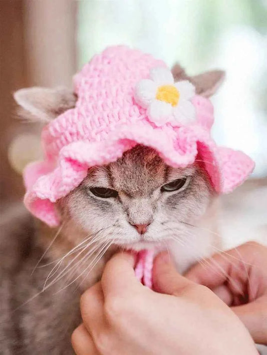 Knitted Pet Hat with Floral Trim for Cats and Small Dogs