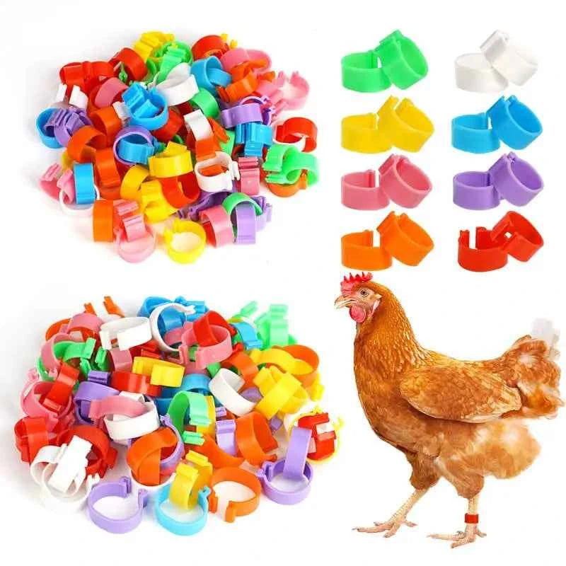 60Pcs 16/20Mm Chicken Duck Leg Rings Goose Animal Identification Tool for Poultry Sign Foot Loop Buckle Clip Farm Supplies