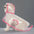 Pet Raincoat Transparent Dog Raincoat Waterproof and Windproof Pet Clothing Large Dog Pet Dog Dog Costume
