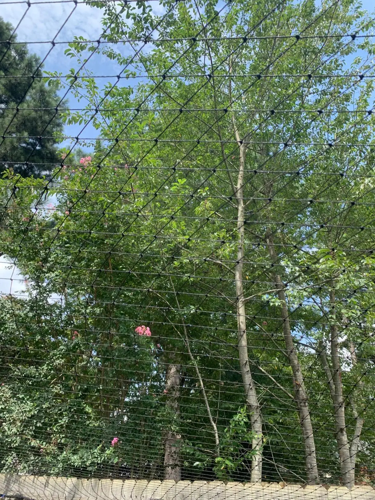 Steel Wire Reinforced Cat Netting for Balcony,Cat Anti-Fall Net,Garden Net Anti Bird Netting with Wire for Windows,Stair Lawn - Play Paws Toys