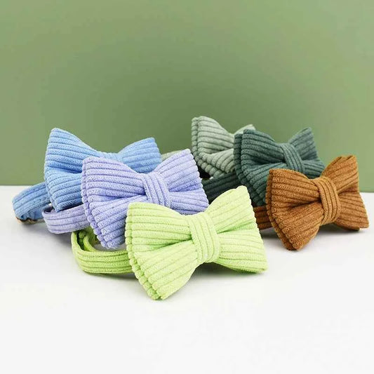 Corduroy Cat Collar with Name Plate Bell Bow Tie Personalized Custom Engraved Cat Collars for Cats