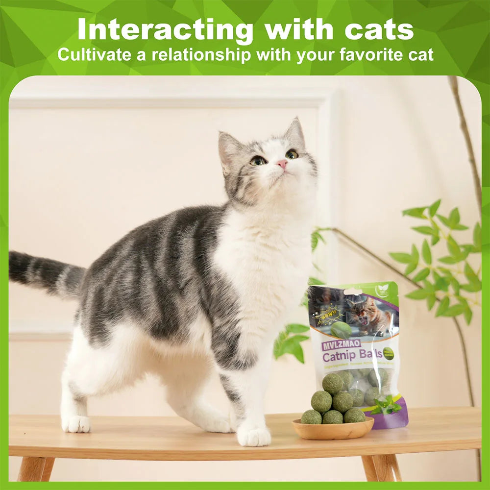 Organic 100% Natural High Quality Catnip Cattle Grass Mint Taste Funny Cat Toy New Cat Toy Interactive Cat Toys Pet Supplies