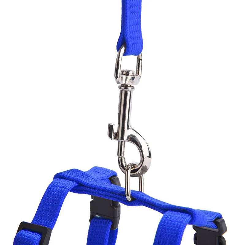 Escape-proof Small Dog Cat Harness Collar with Leash Set H Shape Choke Free Puppy Kitten Harness Soft Nylon Strap Collar for Pet