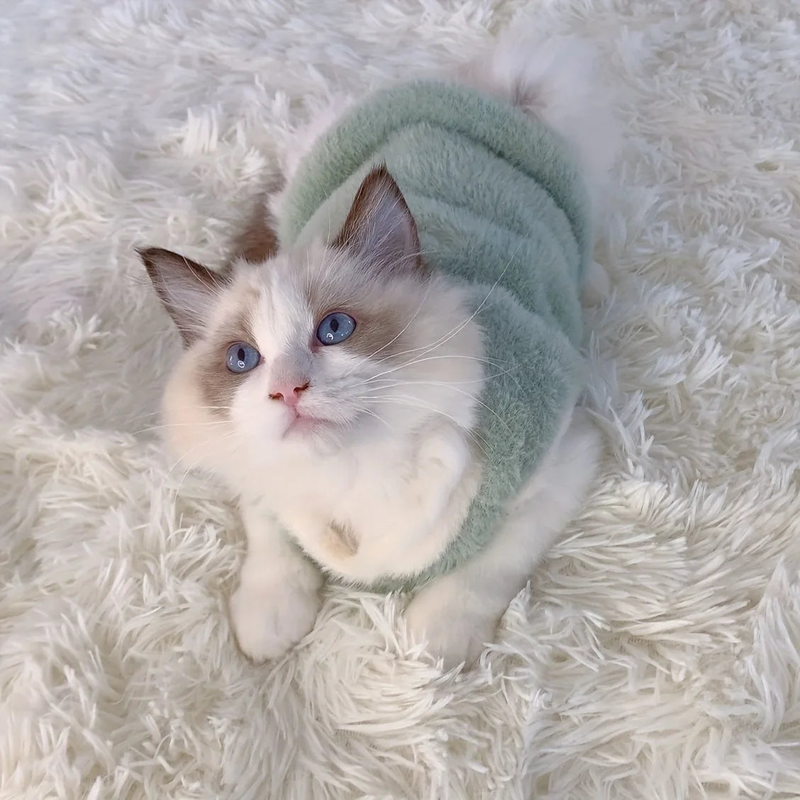 Cats Accessories Pets Warm Kittens Clothes for Winter Kitten Small Kitten Stuff Apparels Cooling Clothing Dog´s Sweater Vests - Play Paws Toys