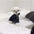 One luxurious and Comfortable Pajama for Pet Dogs Summer Dog Clothes for Small Dogs Suitable for Teddy, Bichon Frise,Yorkshire