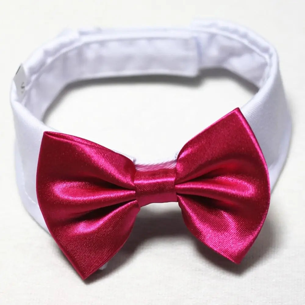 Comfortable Tuxedo Bowtie Pet Accessories Dog Necktie Bow Tie Collar Formal Tie Pet Bow Tie