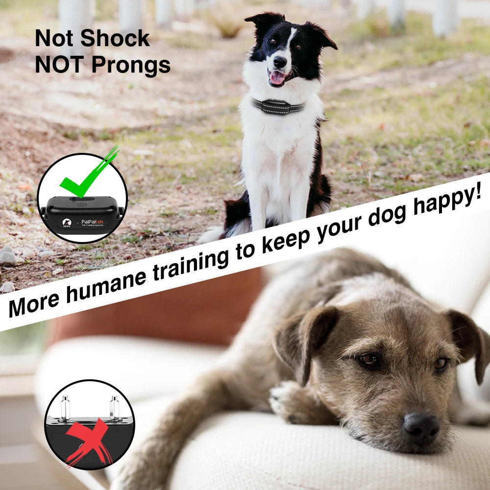 No Shock Dog Training Collar with Remote 3300ft , Rechargeable E-Collar with Ultrasonic / Vibration /Beep No Prongs For All Dogs