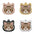 Cute Personalized Cat Tags Stainless Steel Colored Pattern Pets Cat Name Tags Pendant Engraved Keyring Kitten Accessories
