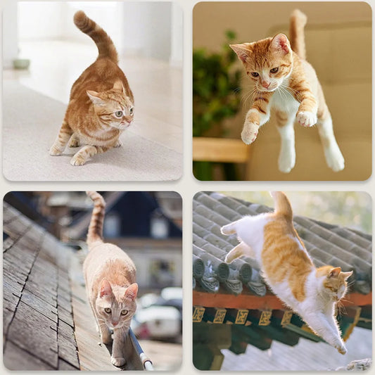 Cat Barrier Net, Pet Isolation Net, Cat and Dog Door, Cat Isolation Fence, Hot Selling Pet Fence, Cat Barrier, Dog Hole - Play Paws Toys