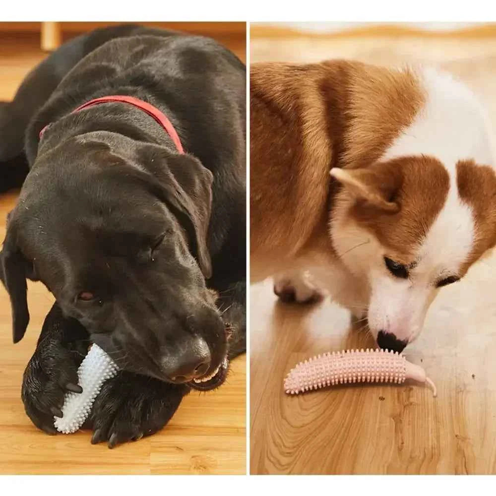 Bite Resistant Cucumber Shape Dog Chew Toy TPE Pet Molar Stick Teeth Grinding Cleaning Accessory