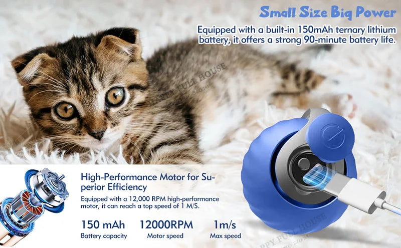 Interactive Cat Toy Balls, Automatic Toys for Cat with Replacement Tail, 2 Adjustable Modes, USB-Rechargeable Indoor Kitten Toy