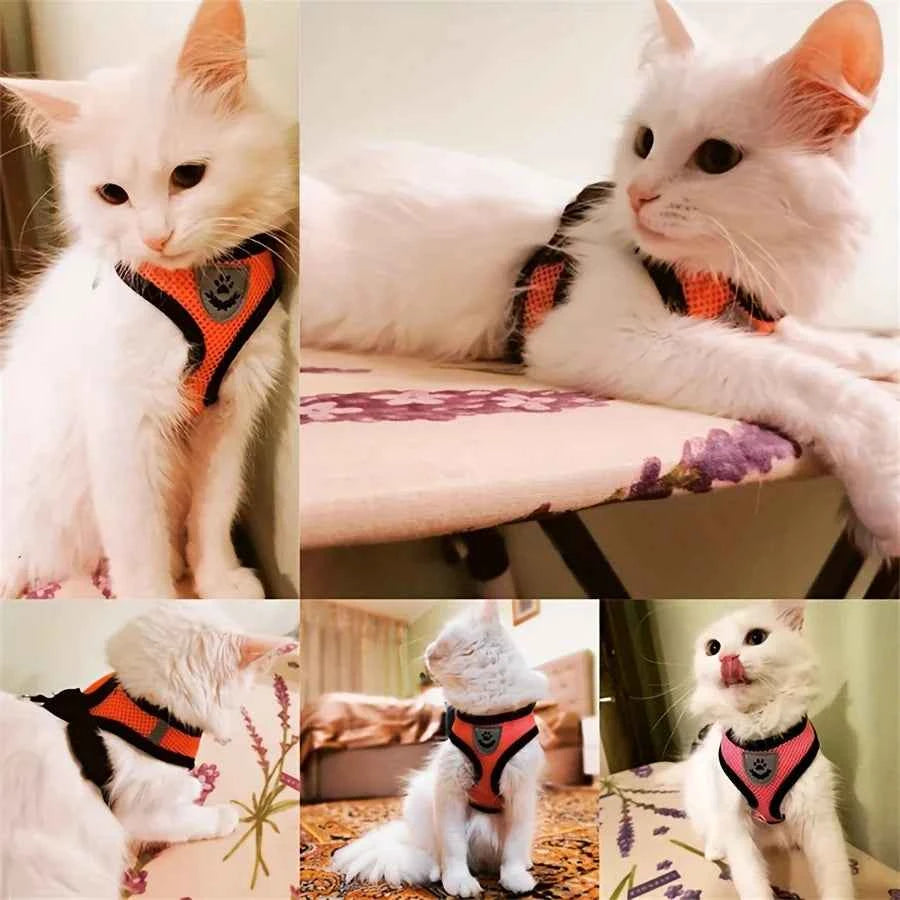 Cat Harness Adjustable, Escape-Proof Breathable Mesh with Reflective Vest  5-Foot Leash - Safe, Durable Outdoor Adventures