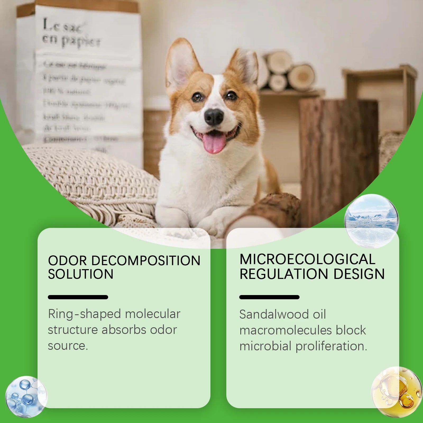 Pet Odor Eliminator Spray for Cat Dog Urine Accidents on Carpet Furniture Natural Deodorizing Mist with No Synthetic Fragrance