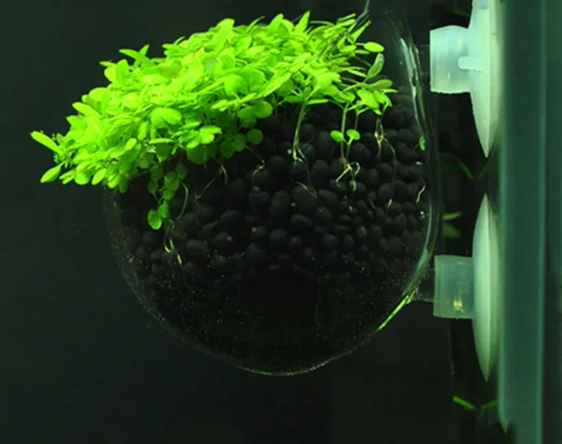 Glass Aquarium decoration Hanging fish tank Mini Crystal Pot Polka Water potted planting cylinder cup aquarium accessories