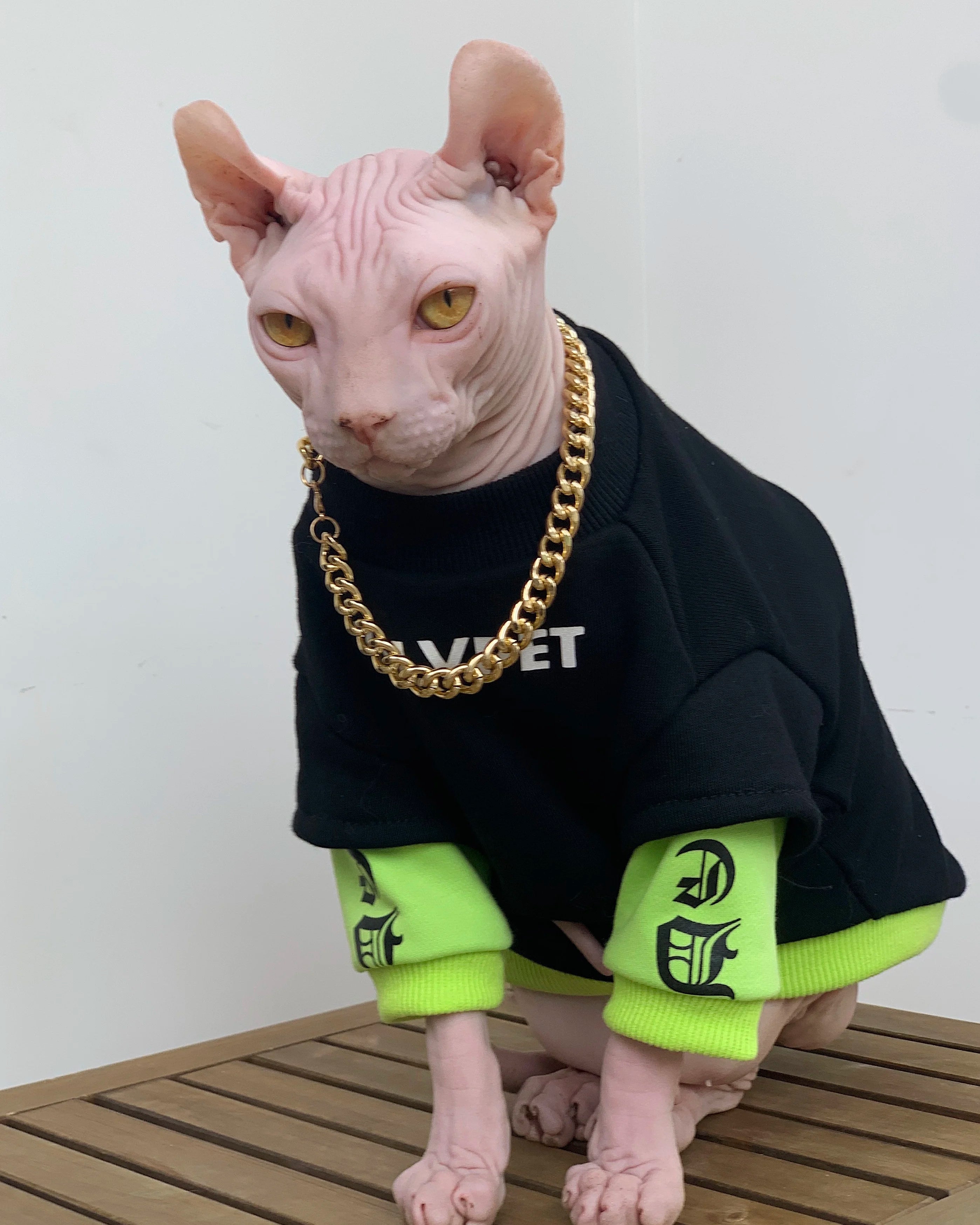 Fashion Cotton Sweatshirt for Sphynx Cat Clothing Winter Thick Long Sleeves Coat For Devon Rex Soft Loungewear For Kittens - Play Paws Toys