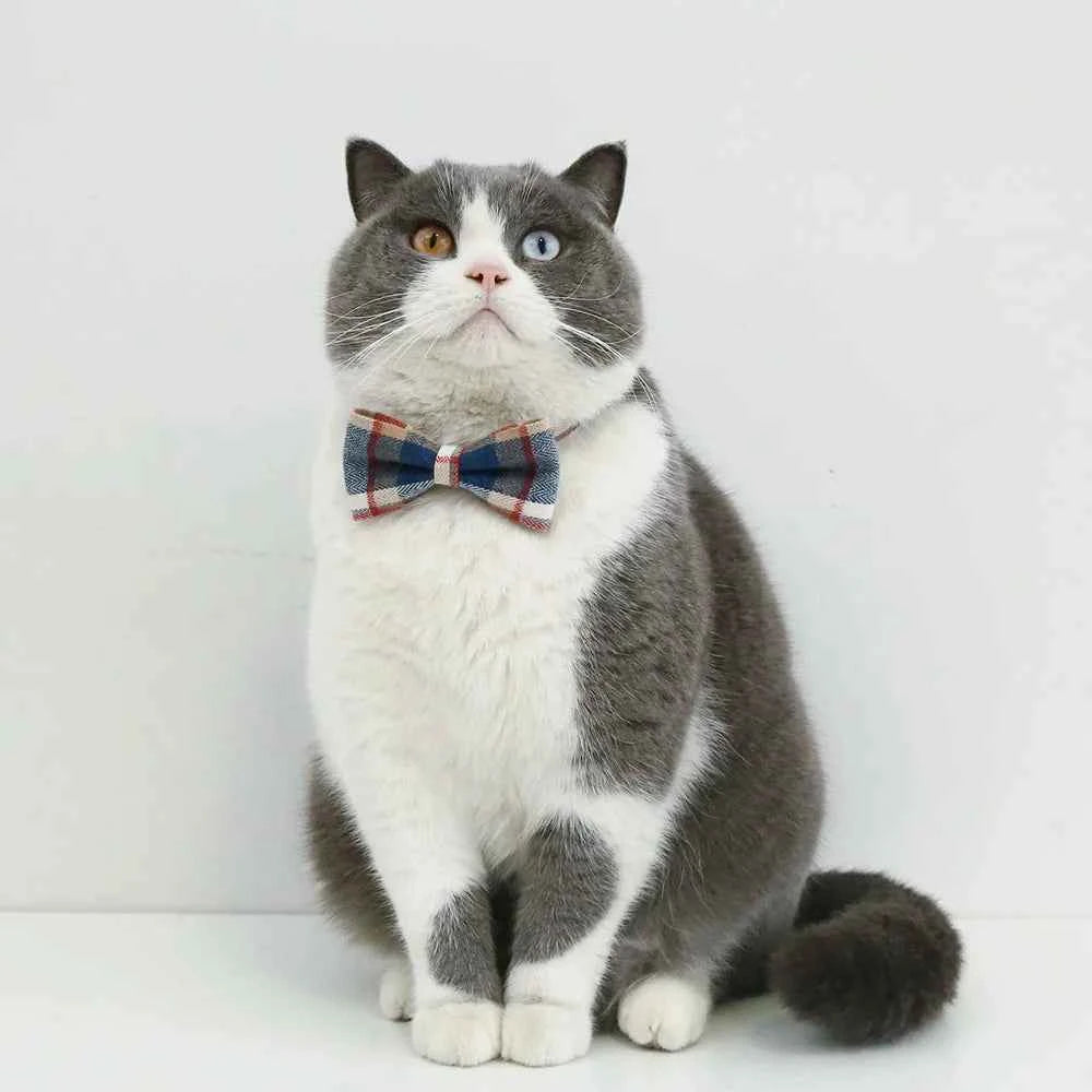 Pet Accessories for Dogs Cats Bowtie British Style Puppy Plaid Tie Breakaway Bowknot Collar for Small Dog Cat Gentleman Costume