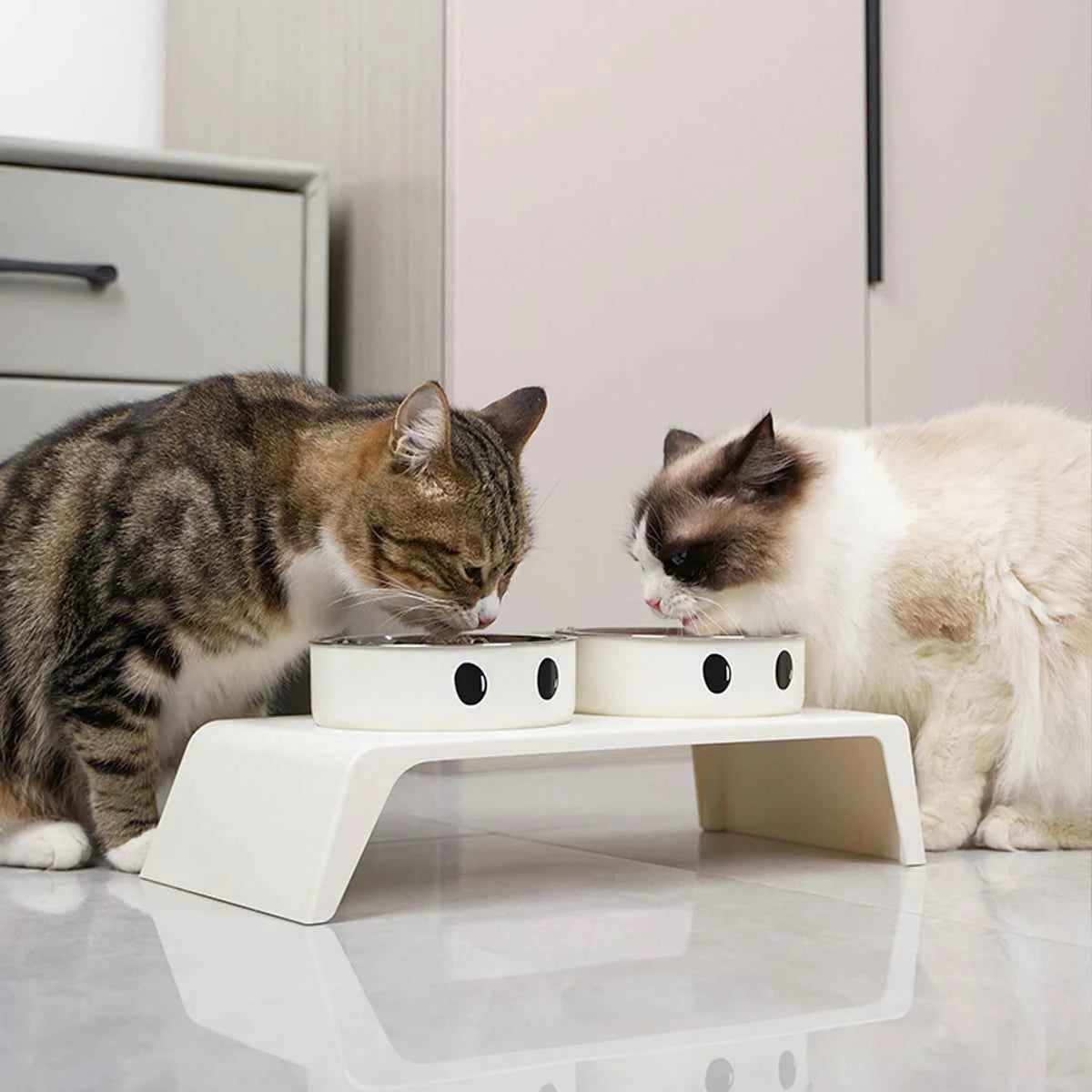 Elevated Pet Dog Feeder Bowls Raised Stand with Double Stainless Steel Food Water Bowls For Small Medium Large Dogs Cats