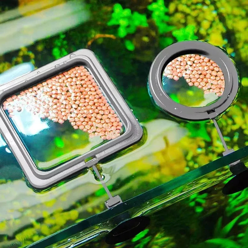Aquarium Feeding Ring Fish Tank Station Floating Food Tray Feeder Square Circle Accessory Fish Foods Feeder Suction Cup Black