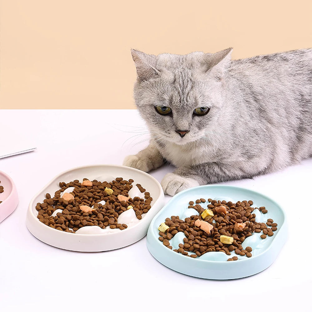 Dog Cat Bowl Anti Choking Slow Food Pet Bowl Bowl Pet Feeder Supplies