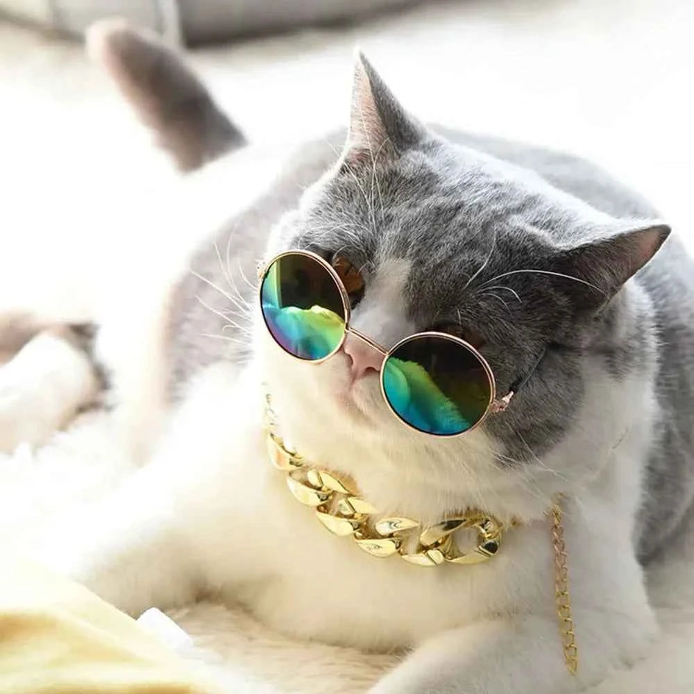 Gold Chain Pet Necklace for Cats and Small Dogs Fashionable Chunky Link Collar for Photo Shoots Daily Wear Party Costume