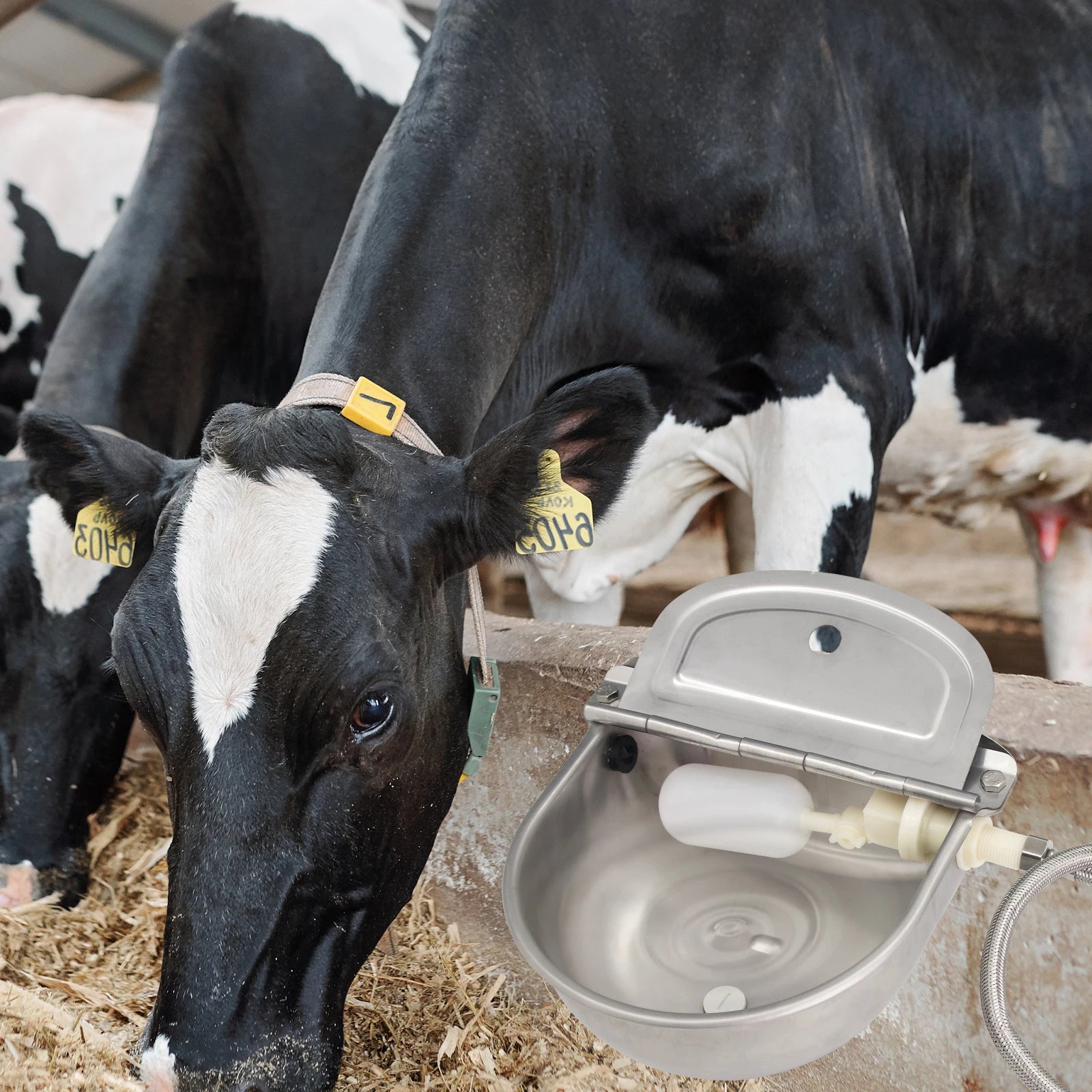 Automatic Cow Water Bowl Stainless Steel Drinking Waterer Bowl With Floating Ball For Cattle Sheep Float Bowl Goat Livestock