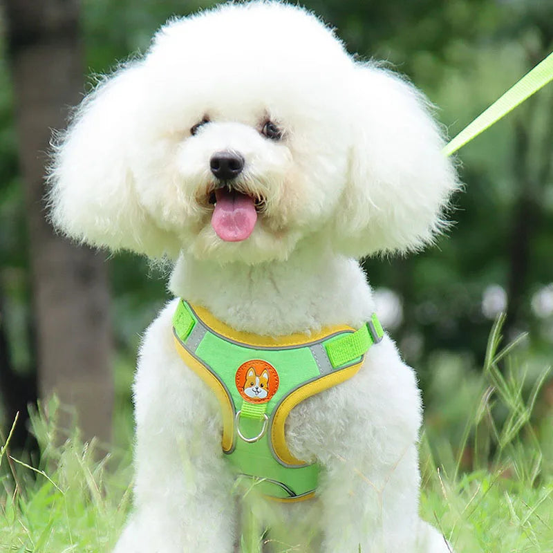 Pet Dog Harness and Leash Set Adjustable Flannel Chest Harness Reflective Breathable For Small Dogs Teddy Chihuahua Pet Supplies