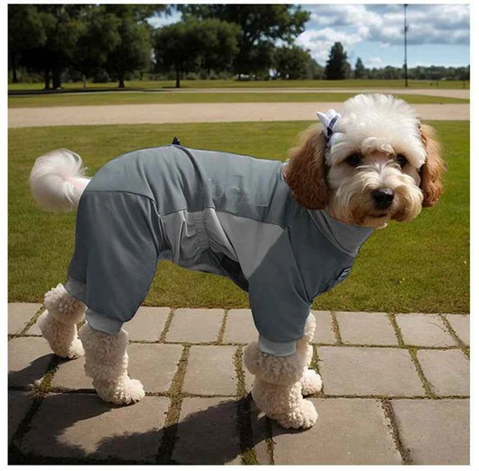Summer Dog Clothes Jumpsuit Border Collie Labrador Samoyed Golden Retriever Husky Bichon Schnauzer Poodle Corgi Dog Clothing
