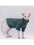 Sphynx Cat Clothes Pet Baby Soft Cotton Winter Cat Outfit for Cornish Solid Color Devon Hairless Cat Sweater Costume Pet Clothes - Play Paws Toys