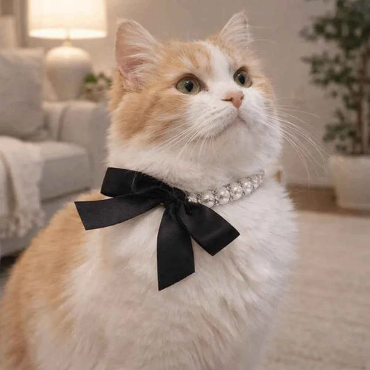 Adjustable Pet Pearl Necklace Bling Simulated Pearl Cat Bead Collar Elegant Bow Knot Ribbon Pet Simulated Pearl Collar