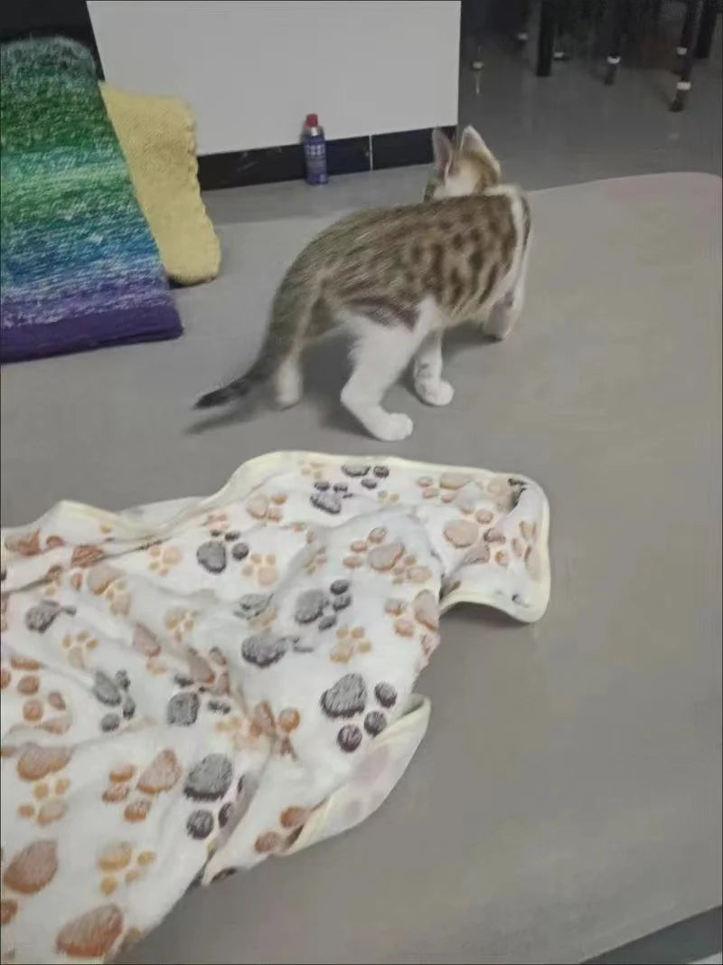 Warm Pet Cat Blanket Autumn Winter Cozy Thicken Fleece Kitten Footprint Bed Mat for Small Medium Big Cats Dog Chihuahua Supplies - Play Paws Toys