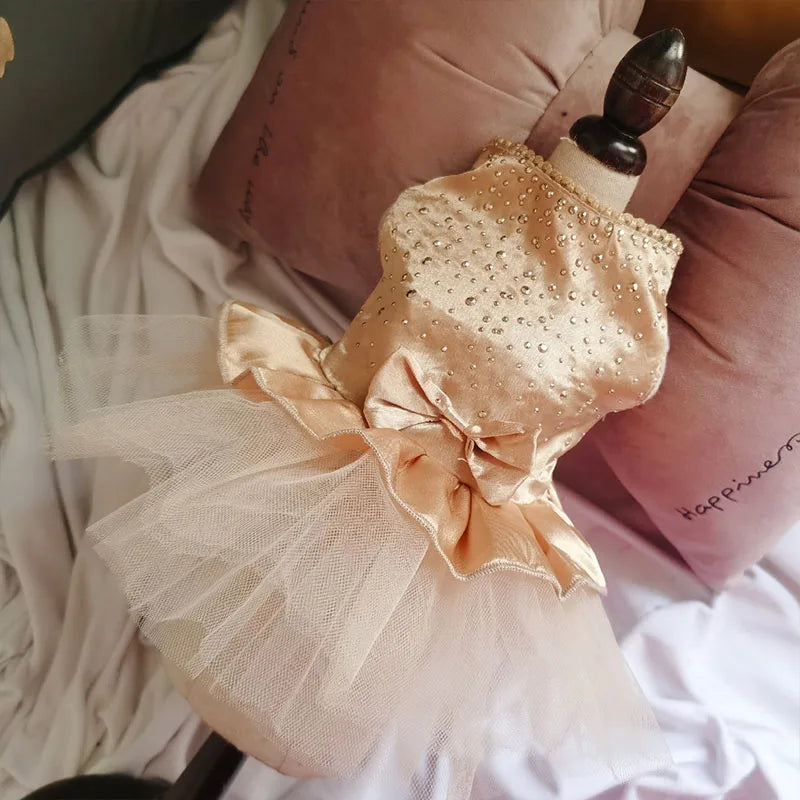 Dog Summer Dress Cat Lace Skirt Pet Clothing Chihuahua Tulle Skirt Puppy Cat Princess Apparel Cute Puppy Clothes Dog Accessories
