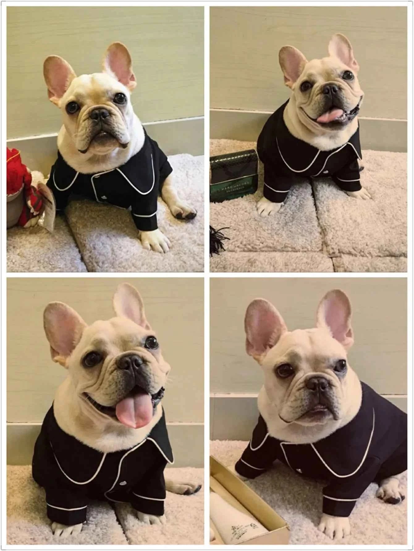 One luxurious and Comfortable Pajama for Pet Dogs Summer Dog Clothes for Small Dogs Suitable for Teddy, Bichon Frise,Yorkshire