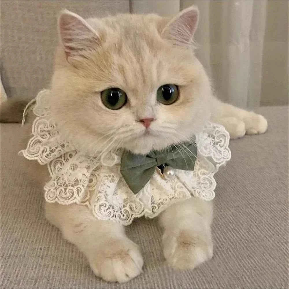 Cute Lace Bow Pet Collar Cat Dog Drool Towel Summer Thin Pet Pendant Necklace with Cat Strap Accessories