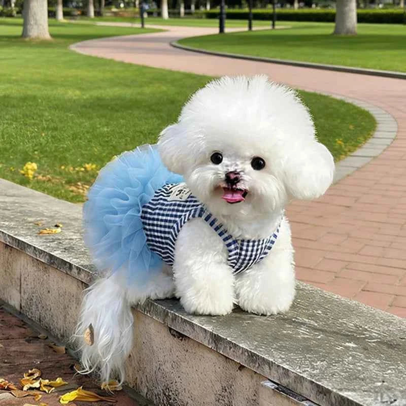 Blue Striped Dog Princess Dress, Summer Breathable Pet Tulle Skirt for Small Dogs Girls, Cute Puppy Clothes for Bichon Chihuahua
